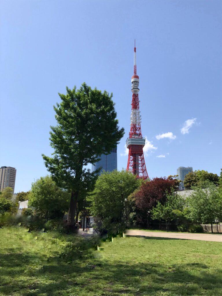 港区立芝公園からみた東京タワー